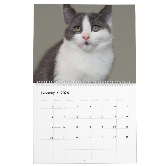 2018 GRIJZE EN WITTE KATTEN KALENDER (Feb 2026)