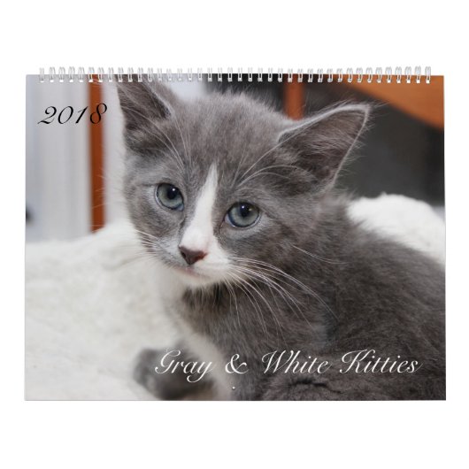 2018 GRIJZE EN WITTE KATTEN KALENDER (Hoes)