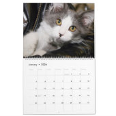 2018 GRIJZE EN WITTE KATTEN KALENDER (Jan 2026)