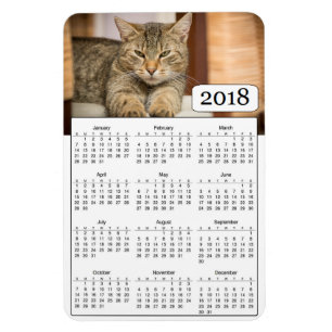 2018 Kalender Gepersonaliseerde Kat Fotomagneet Magneet
