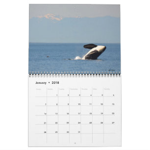 2018 Kalender voor de walvis van de Zuidelijke Ing