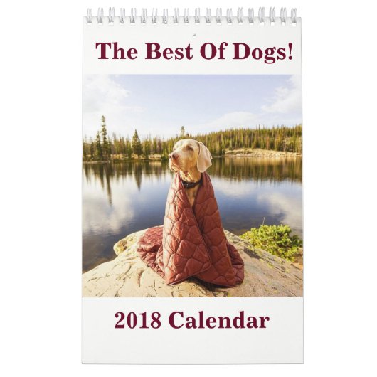 2018 le meilleur des chiens ! Calendrier (Protection)