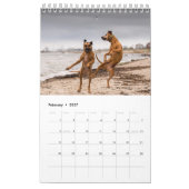 2018 le meilleur des chiens ! Calendrier (Feb 2027)