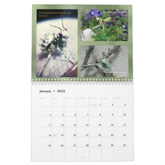 2018 Mantidforum.net Wall Agenda Kalender (Jan 2026)