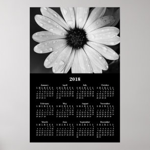 2018 Muurkalender Afrikaanse Madeliefje Poster