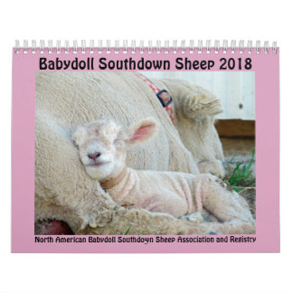2018 NABSSAR Babydoll Southdown schaapkalender Kalender