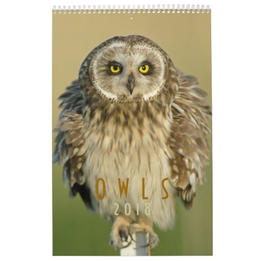 2018 Owl Lovers Wall Calendar Kalender (Hoes)
