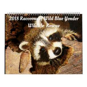 2018 Raccoons van Wilde Blue Yonder Wildlife Rescu Kalender
