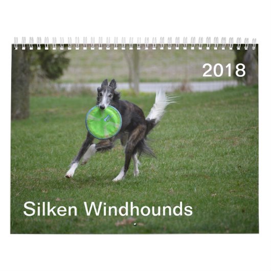 2018 Silken Windhounds (in actie) Kalender (Hoes)