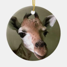 2018 Vakantievorming; Penny de Giraffe Keramisch Ornament