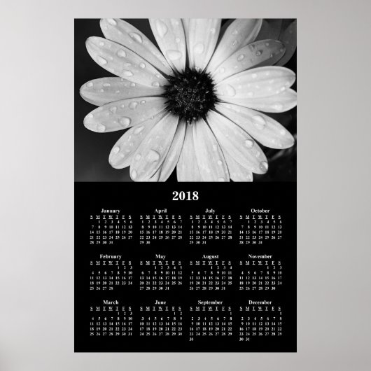 2018 Wall Calendar African Daisy Poster (Voorkant)