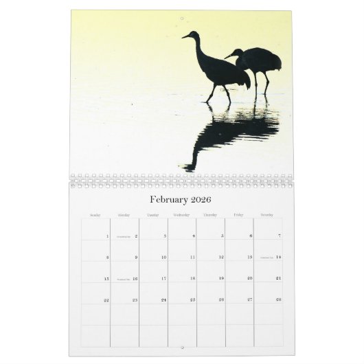 2019/2020 calendrier de faune d'animaux d'oiseaux (Feb 2026)
