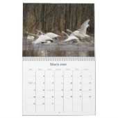 2019 2020 Zwemvogels Vluchtelingen van wilde diere Kalender (Mar 2026)