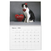 2019 calendrier de chat - pli d'écossais (Feb 2026)