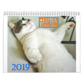 2019 CALENDRIER DE FATBOY BABUSHKA (Protection)