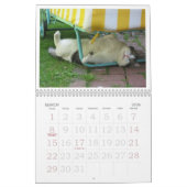 2019 CALENDRIER DE FATBOY BABUSHKA (Mar 2026)