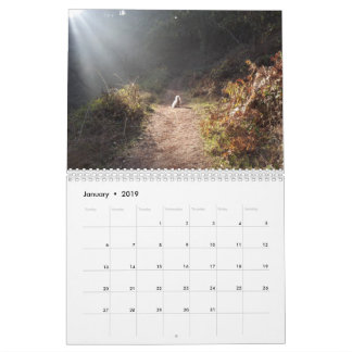 2019 calendrier de Gwendolyn - milieu