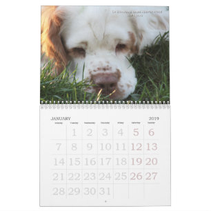 2019 calendrier d'Erinveine - épagneuls de Clumbe