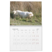 2019 calendrier d'Erinveine - épagneuls de Clumber (Feb 2027)