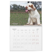 2019 calendrier d'Erinveine - épagneuls de Clumber (Mar 2027)
