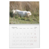 2019 calendrier d'Erinveine - épagneuls de Clumber (Feb 2026)