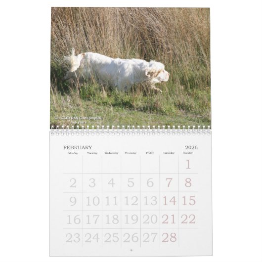 2019 calendrier d'Erinveine - épagneuls de Clumber (Feb 2026)