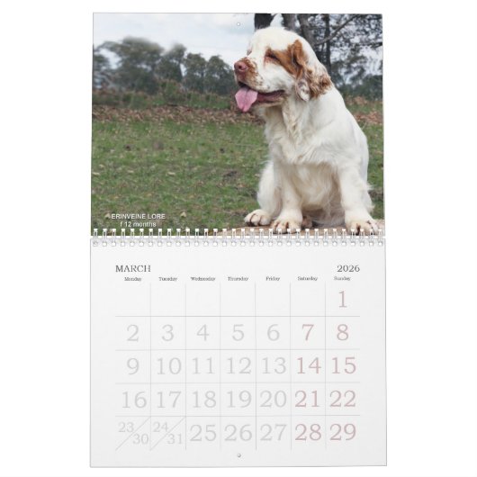 2019 calendrier d'Erinveine - épagneuls de Clumber (Mar 2026)