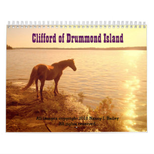 2019 Clifford the Morgan Horse Wall Calendar Kalender
