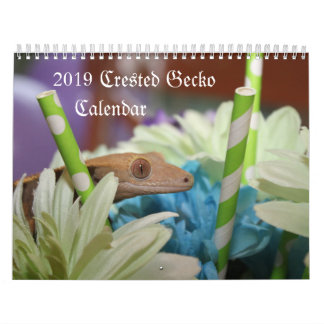 2019 Crested Gecko Calendar Kalender
