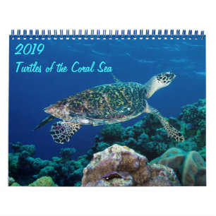 2019 de Schildpadden van het zee van het Zee van Kalender
