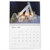 2019 Debbie robuste, calendrier de thérapie par (Feb 2027)