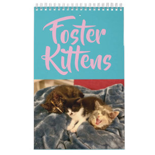 2019 Foster Kitten Agenda Kalender