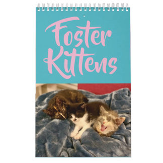 2019 Foster Kitten Agenda Kalender