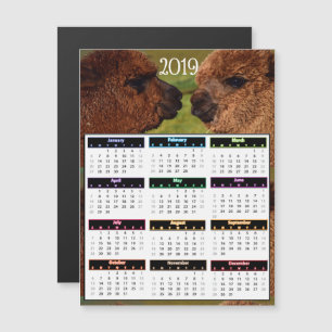 2019 Grappige MiniKalender Alpacas Magnetische Uitnodiging