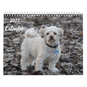 2019 Kalender Afbeeldingen voor porseleinkast