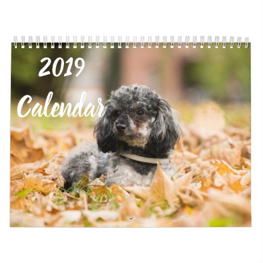 2019 Kalender Afbeeldingen voor portaalgebruik (Hoes)