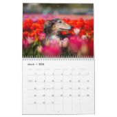 2019 Silken Windhound van Pauline Ng Kalender (Mar 2026)