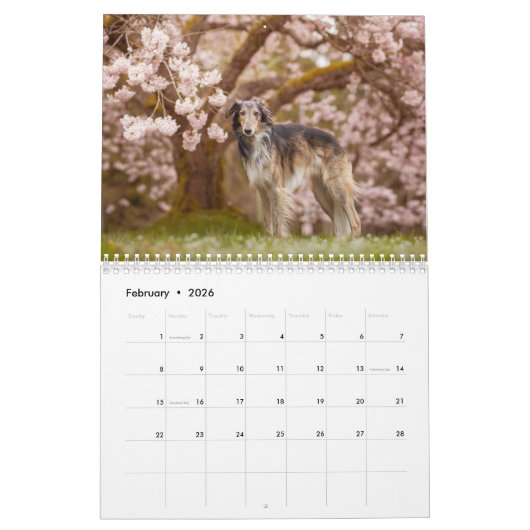 2019 Silken Windhound van Pauline Ng Kalender (Feb 2026)