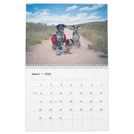 2019 Silken Windhounds met anderen 2 Kalender (Mar 2026)