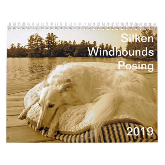 2019 Silken Windhounds Posing Kalender (Hoes)