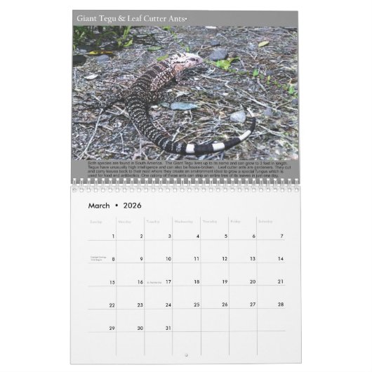 2020 3D digitale art Natuur agenda Kalender (Mar 2026)