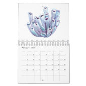 2020 Aquarelle Océan Calendrier de la vie marine (Feb 2026)