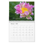 2020 Beauty of Peonies Kalender (Feb 2026)