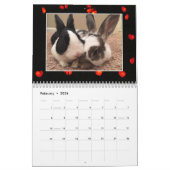 2020 Bunny Rescue & Education Kalender (Feb 2026)