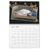 2020 Bunny Rescue & Education Kalender (Mar 2027)