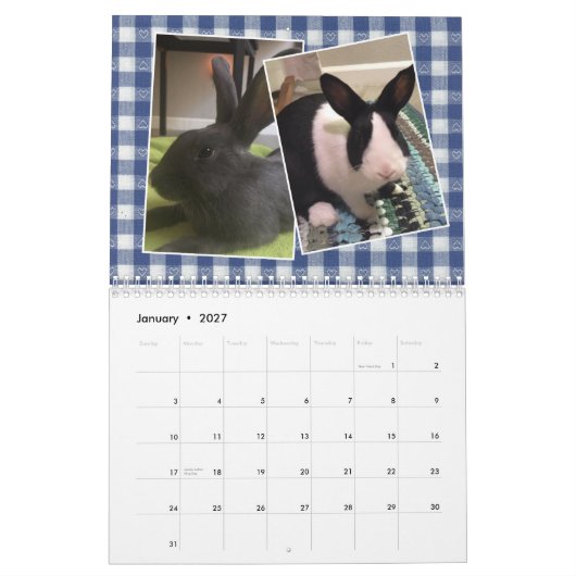 2020 Bunny Rescue & Education Kalender (Jan 2027)