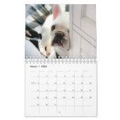2020 French Bulldog Calendar-Fredrick the Frenchie Kalender (Mar 2026)