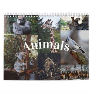 2020 Huis/Kantoor Muur Kalender Dierenkalender
