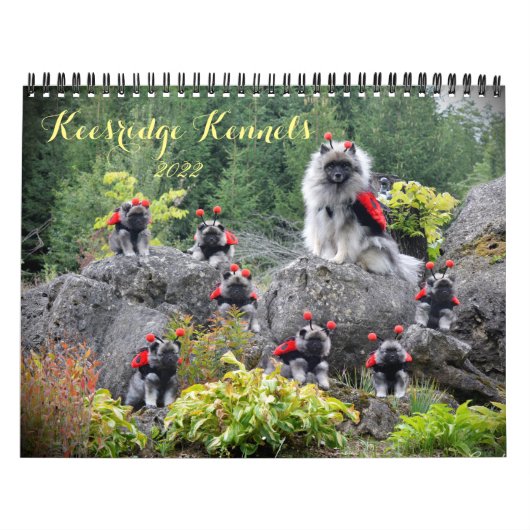 2020 Keesridge Kennels kalender (Hoes)