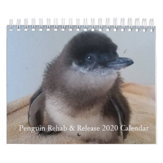 2020 Little Penguin Calendar Kalender